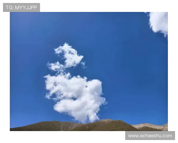 心之所向，皆是浪漫：一场关于“需要浪漫”的深度对话