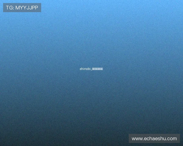 shinobi_终极忍者的传说